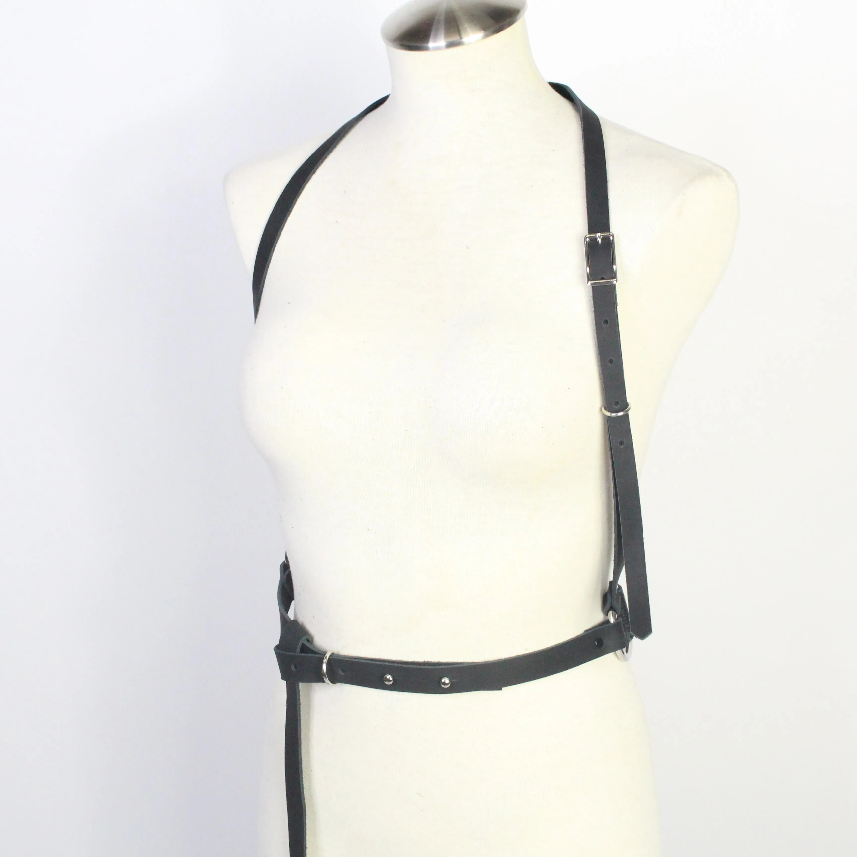 D-Ring Harness