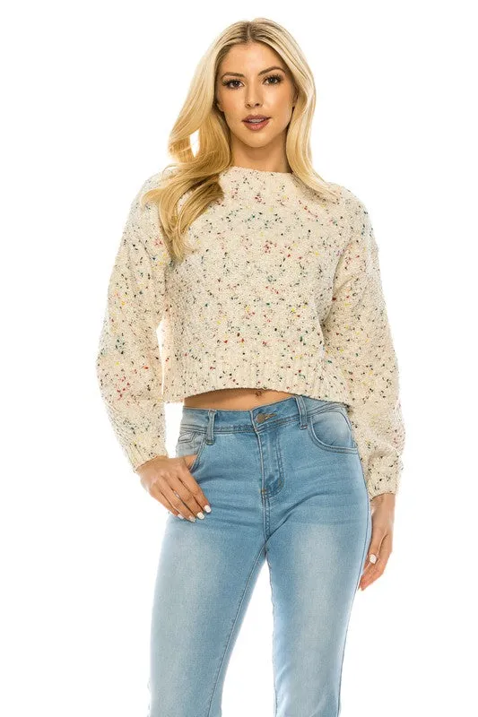 DS Crop multicolor Sweater IO