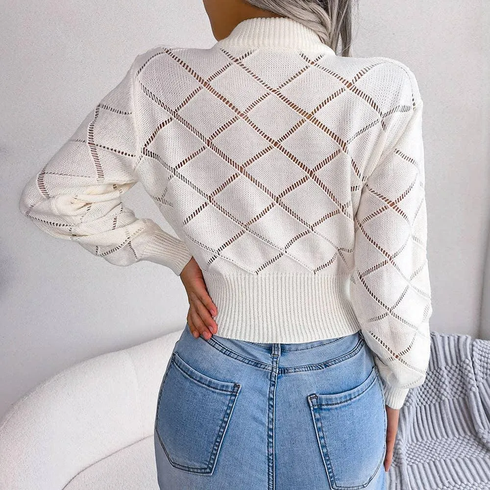 Solid Color Hollow Out Close Crop Knit Sweater 2035