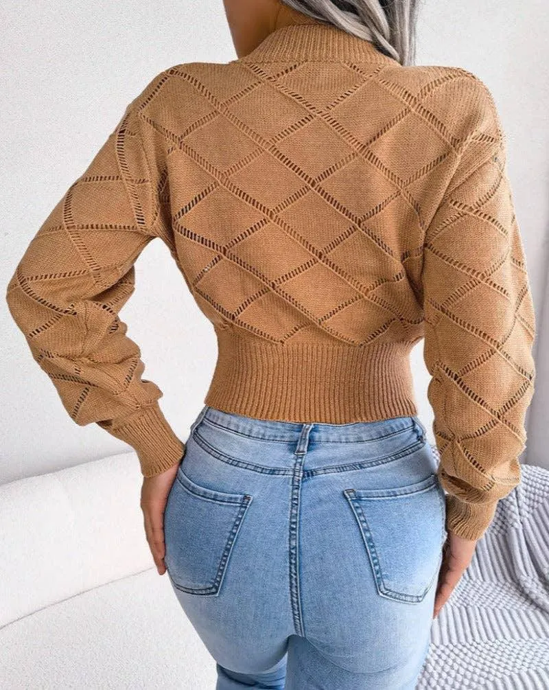 Solid Color Hollow Out Close Crop Knit Sweater 2035