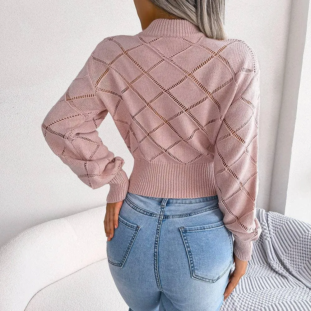 Solid Color Hollow Out Close Crop Knit Sweater 2035