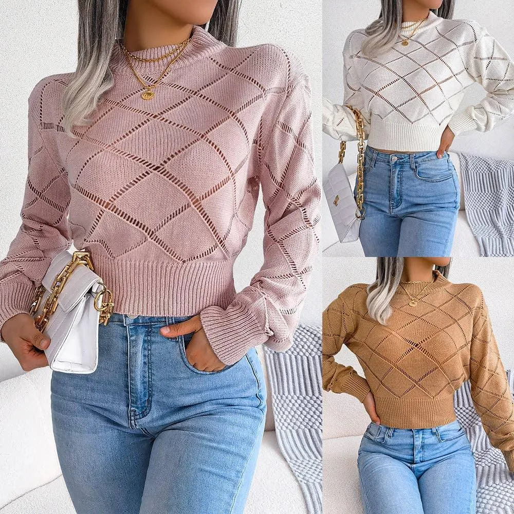 Solid Color Hollow Out Close Crop Knit Sweater 2035